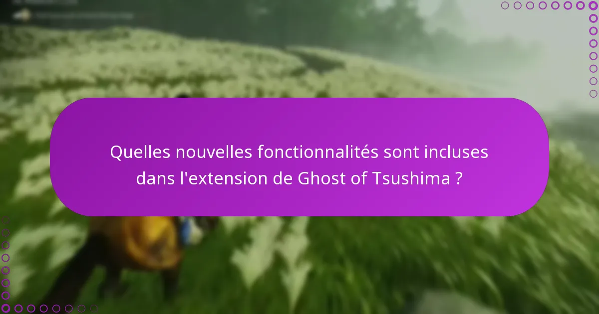 Quels sont les conseils de dépannage courants pour accéder à l’extension ?
